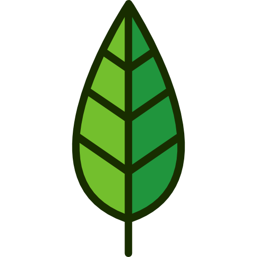 Leaf icon