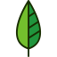 Leaf icon 64x64