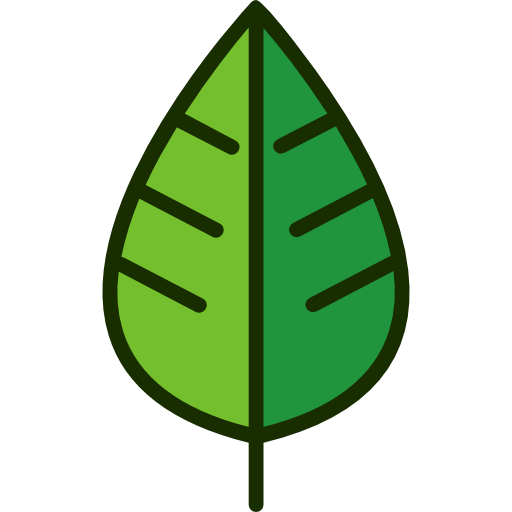 Leaf icon