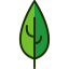 Leaf icon 64x64