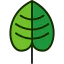 Leaf icon 64x64