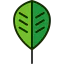 Leaf icon 64x64