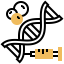 Dna biểu tượng 64x64