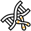 Dna biểu tượng 64x64