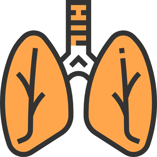 Lungs icon