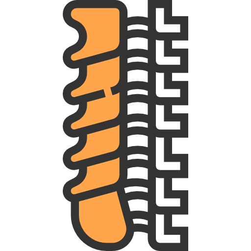 Позвоночник иконка