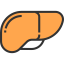 Liver 图标 64x64