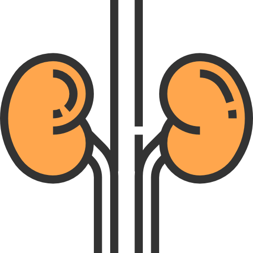 Kidneys icon