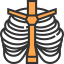 Thorax 图标 64x64