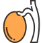 Testicle 图标 64x64
