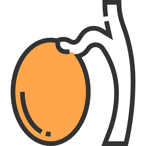 Testicle icon