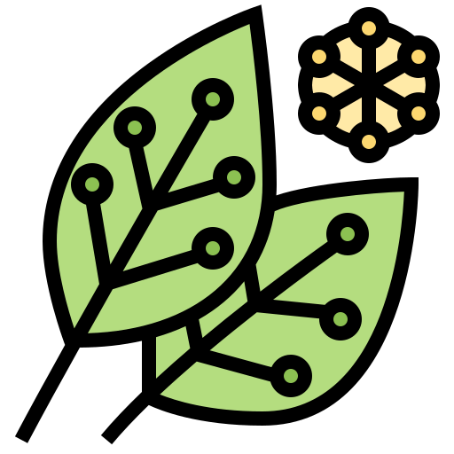 Leaf icon
