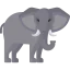 Elephant アイコン 64x64