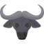 Buffalo アイコン 64x64