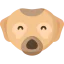 Meerkat icon 64x64