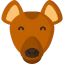 Hyena icon 64x64