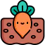 Carrot 图标 64x64