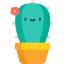 Cactus 图标 64x64