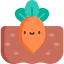Carrot 图标 64x64