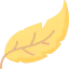Feather icon 64x64