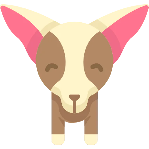 Chihuahua 图标