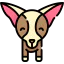 Chihuahua Symbol 64x64