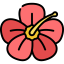 Flower 图标 64x64
