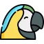 Macaw 图标 64x64