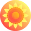 Sunflower Ikona 64x64