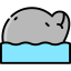 Dolphin 图标 64x64