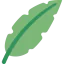 Palm 图标 64x64