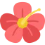 Flower 图标 64x64
