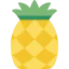 Pineapple 图标 64x64