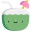 Coconut 图标 64x64