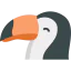 Toucan 图标 64x64