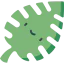 Leaf 图标 64x64