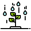 Sprout 图标 64x64