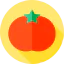 Tomato icon 64x64