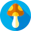 Mushroom icon 64x64