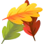 Leaves icon 64x64