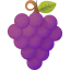 Grapes icon 64x64