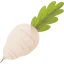 Turnip icon 64x64