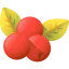 Berries icon 64x64