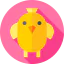 Chicken icon 64x64
