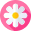 Flower icon 64x64