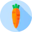 Carrot icon 64x64