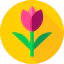 Tulip icon 64x64