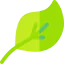 Leaf icon 64x64