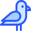 Pigeon icon 64x64