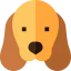 Cocker spaniel biểu tượng 64x64